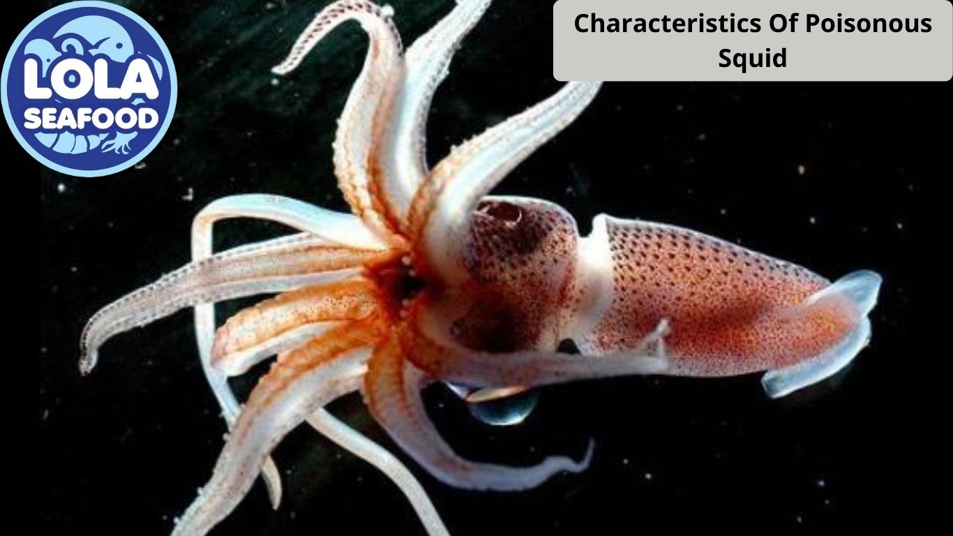 Characteristics Of Poisonous Squid